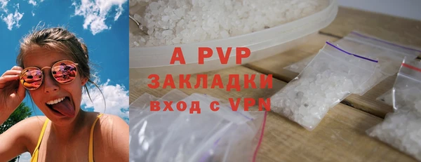 ECSTASY Белокуриха