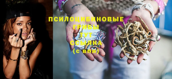ECSTASY Белокуриха